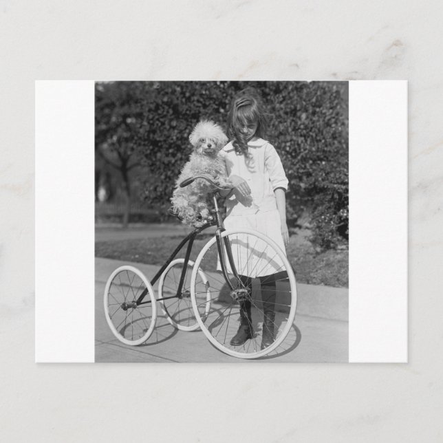 Cartão Postal Poodle Perch, 1913 (Frente)