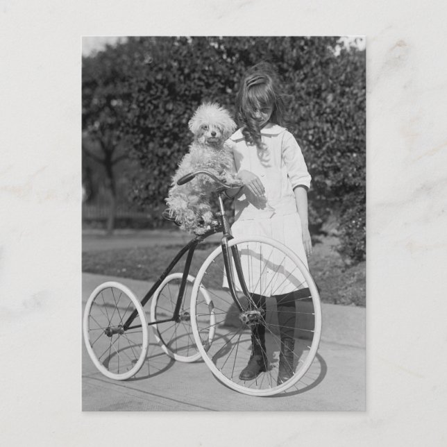 Cartão Postal Poodle Perch, 1913 (Frente)