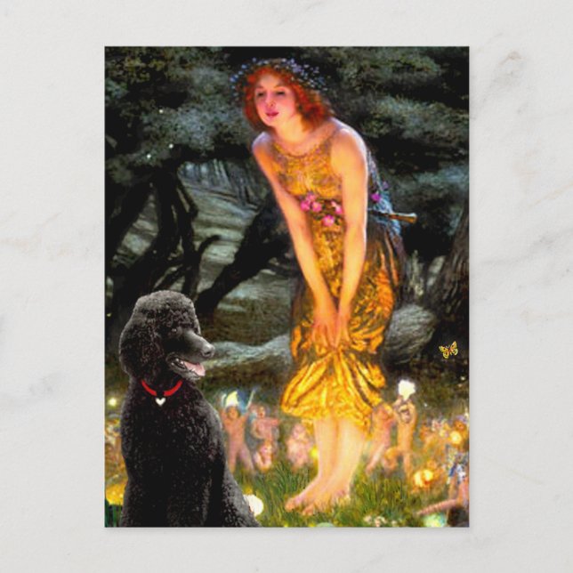 Cartão Postal Poodle Preto Padrão de Meia-Eve (T) (Frente)