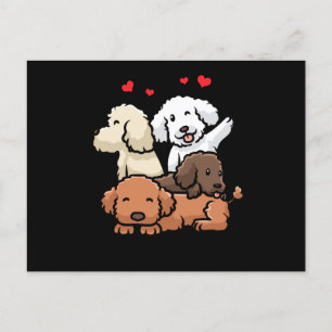 Cartão Postal Poodle Puppies