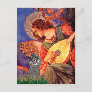 Cartão Postal Poodle(s) - Anjo Bandolim