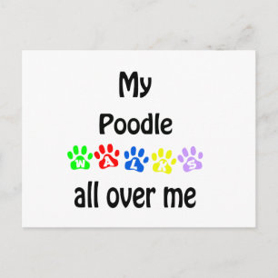 Cartão Postal Poodle Walks Design