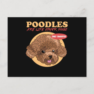Cartão Postal Poodles Are Smarter Dog Owner Poodle