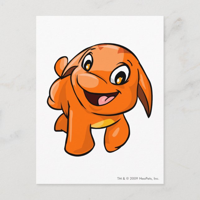 Cartão Postal Poogle Orange (Frente)