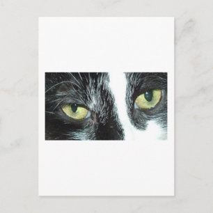 Cartão Postal Pop Art Cat