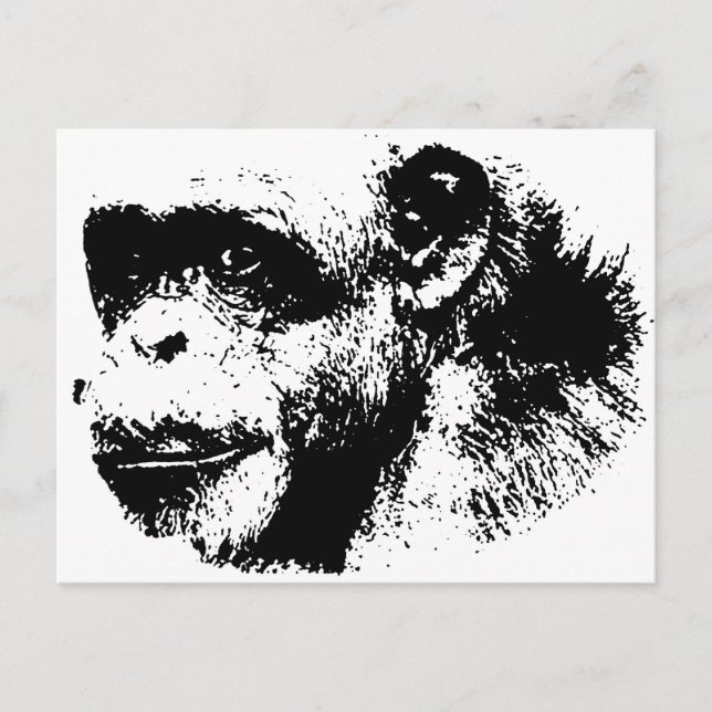 Cartão Postal Pop de arte em chimpanzé preto-e-branco (Frente)