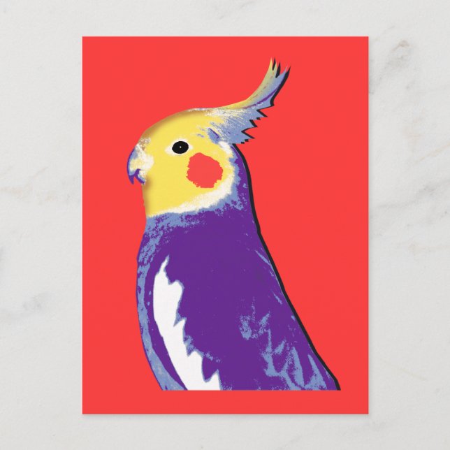 Cartão Postal Pop de Cockatiel (Frente)