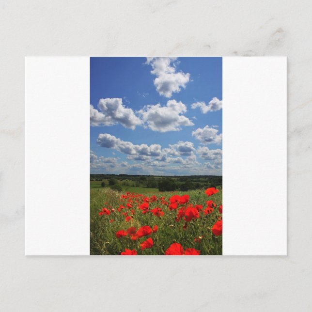 Cartão Postal Poppies (Frente)