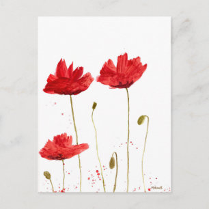 Cartão Postal Poppies