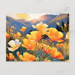Cartão Postal Poppies California Em Um Prado Brilhante E Sereno
