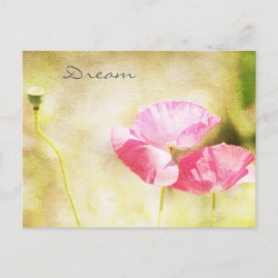 Cartão Postal Poppies rosa inspirados