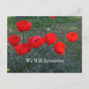 Cartão Postal Poppies vermelhos brilhantes