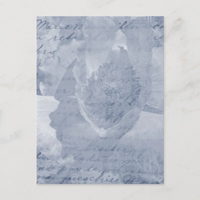 Cartão Postal Poppy 2 (Frente)