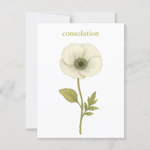 Cartão Postal Poppy (branco) - Consolação