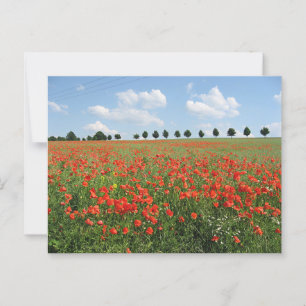 Cartão Postal Poppy Field