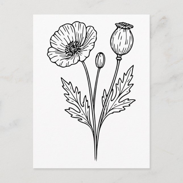 Cartão Postal Poppy Flower Botanical Bloom Line Art (Frente)
