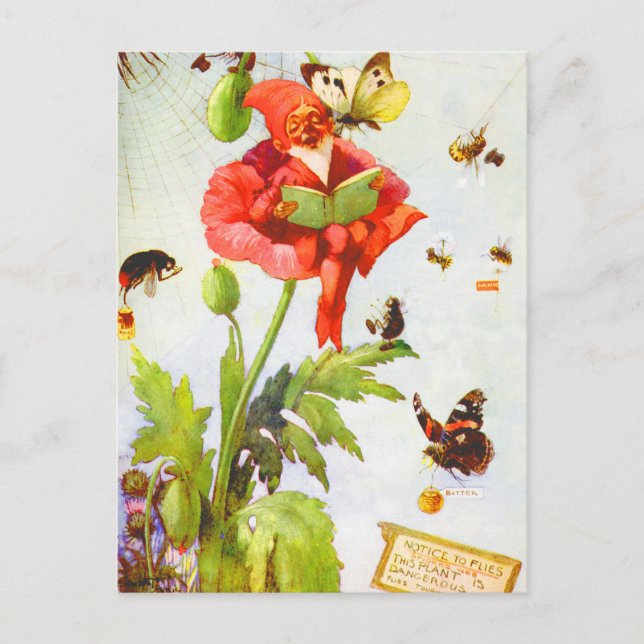 Cartão Postal Poppy Gnomo (Frente)