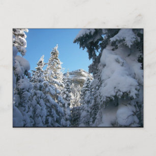 Cartão Postal Por aqui até o topo.