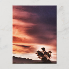 Cartão Postal pôr do sol"