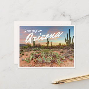 Cartão Postal Pôr do sol colorido do Arizona Saguaro Cactus Saud