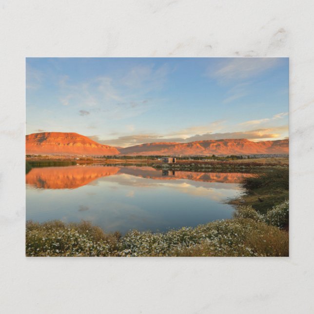 Cartão Postal Por do sol de Laguna Nimez, EL Calafate (Frente)