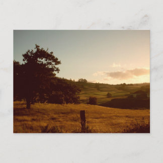 Cartão Postal Pôr do Sol de Verão da Tasmânia