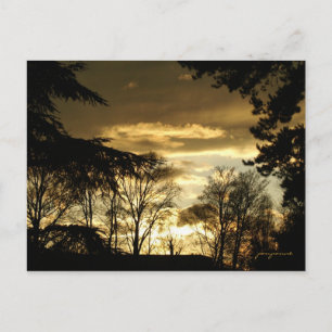 Cartão Postal pôr do sol dourado