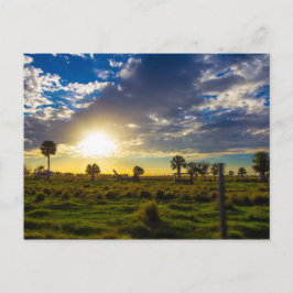 Cartão Postal Pôr do sol em um rancho da Flórida