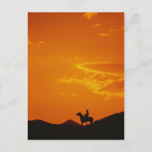 Cartão Postal Pôr do sol laranja com silhueta de vaqueiro