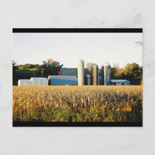 Cartão Postal Pôr do sol na Fazenda