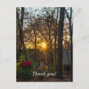 Cartão Postal Pôr do sol na floresta Sdc