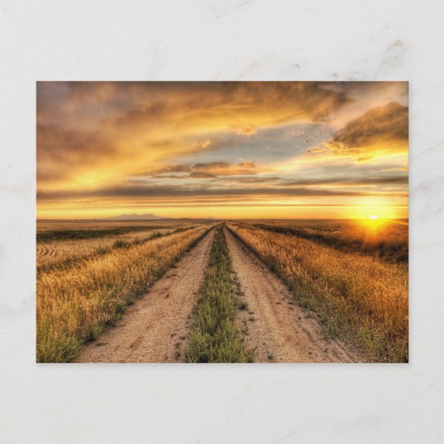 Cartão Postal Pôr do sol numa estrada rural (Frente)