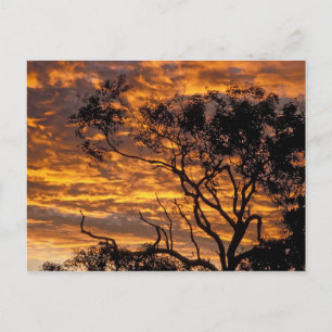 Cartão Postal Pôr do sol, Parque Nacional Uluru-Kata Tjuta,