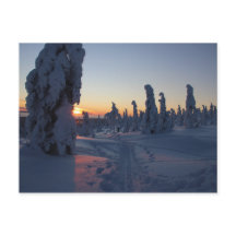 Pôr do sol sobre a floresta na Lapônia