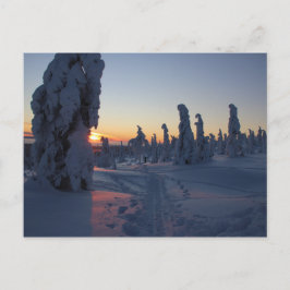 Cartão Postal Pôr do sol sobre a floresta na Lapônia