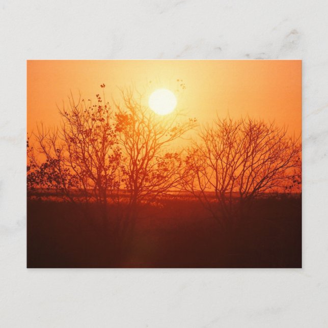 Cartão Postal Pôr do sol sobre o Bayou (Frente)