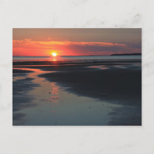 Cartão Postal Pôr do sol sobre os Apartamentos, Vida Selvagem na