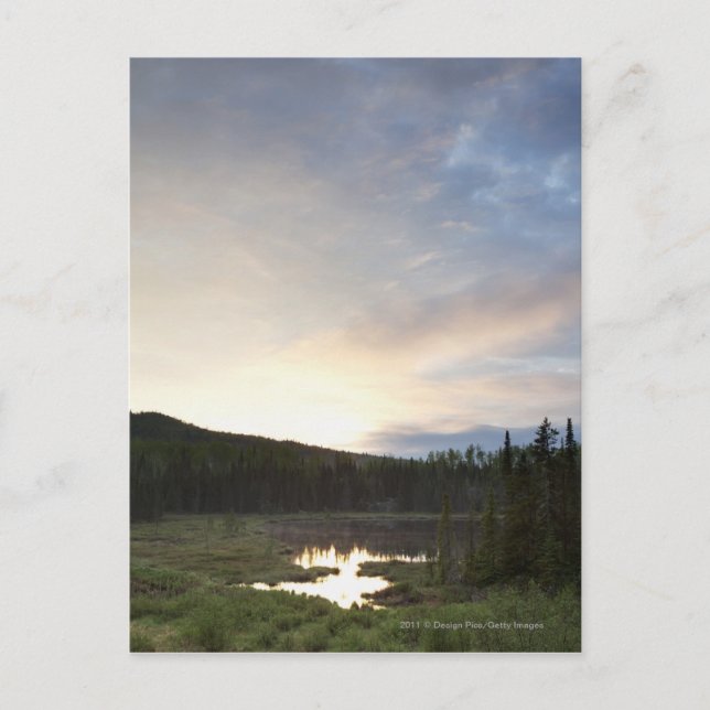 Cartão Postal Por do sol sobre uma lagoa enevoada (Frente)