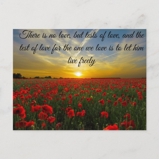 Cartão Postal pôr do sol sol (Frente)