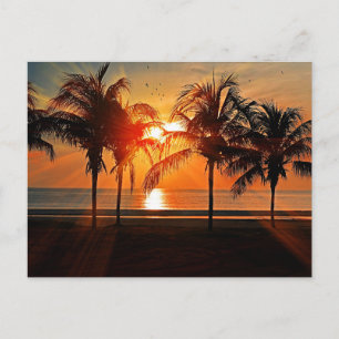 Cartão Postal Pôr do sol tropical