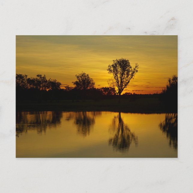 Cartão Postal Pôr do sol, Yellow Water Billabong (Frente)