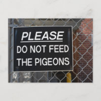 Por favor, não alimente a Nova Iorque de suínos