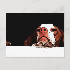 Cartão Postal Por favor, não vá