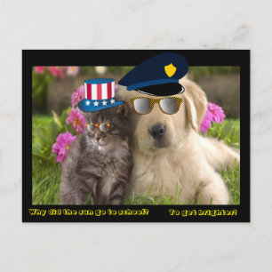 Cartão Postal Por que o sol foi para a escola?