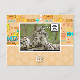 Cartão Postal Por que os cães acham isso tão difícil?