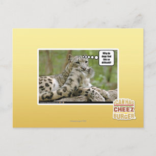 Cartão Postal Por que os cães acham isso tão difícil?