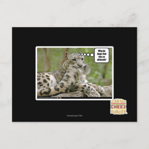 Cartão Postal Por que os cães acham isso tão difícil?