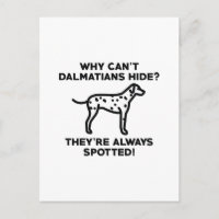 Por que os Dalmatianos não se escondem?