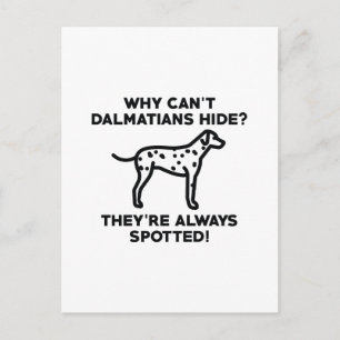 Cartão Postal Por que os Dalmatianos não se escondem?