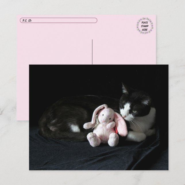 Cartão Postal Pôr Um Coelhinho Me Ama - Cartão-Postal De Gato (Frente/Verso)